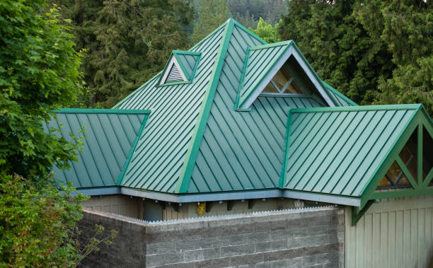 Best Skylight Installation and Repair  in Grant Park, IL