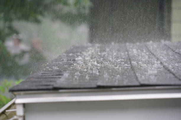 Best Roof Ventilation Installation  in Grant Park, IL