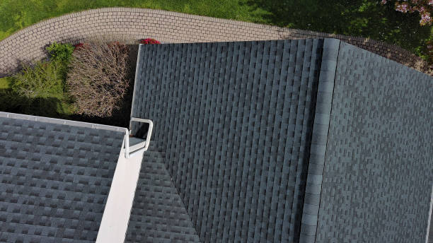 Best Roof Moss and Algae Removal  in Grant Park, IL