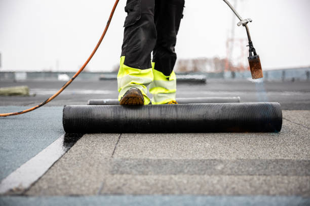 Best Roof Insulation Installation  in Grant Park, IL