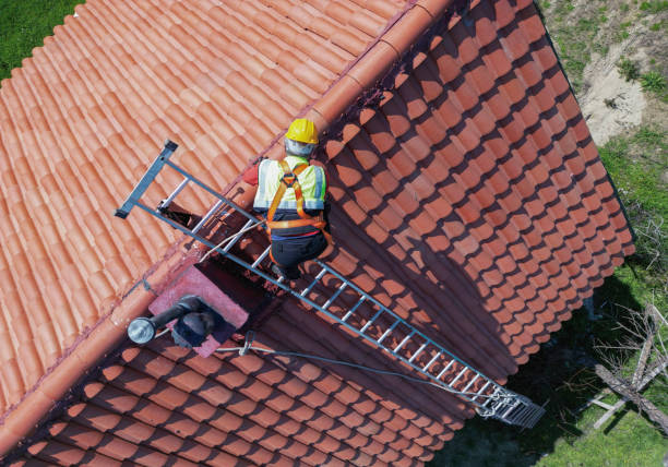 Best Asphalt Shingles Roofing  in Grant Park, IL