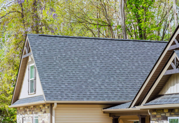 Best Rubber Roofing (EPDM, TPO)  in Grant Park, IL