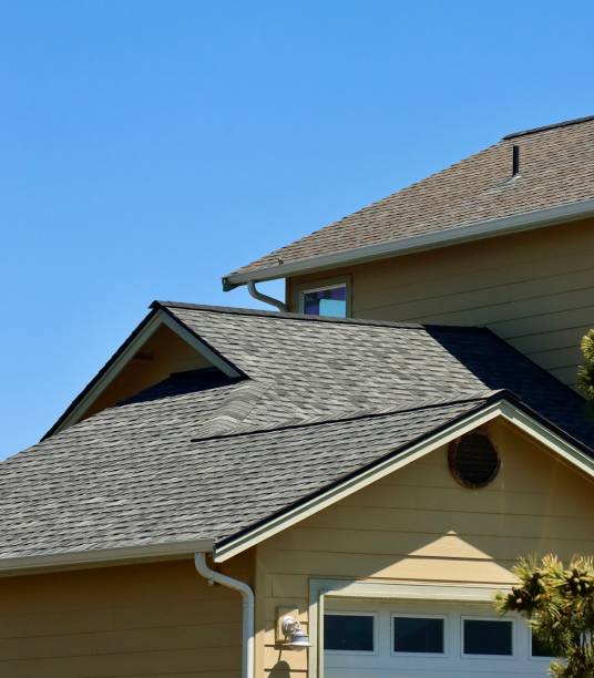 Professional Roofing Service in Grant Park, IL