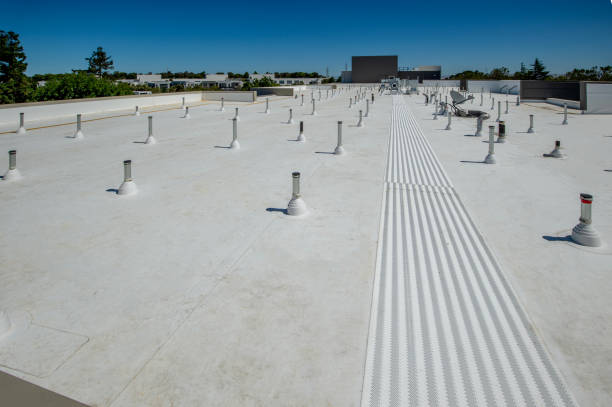 Best Roof Insulation Installation  in Grant Park, IL